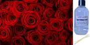 Rose Absolute - Reed Diffuser Refill