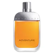Adventure 100ml EDT By Davidoff (Men's)