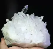 2.06lb Natural Clear Quartz Crystal Cluster Point Wand Healing Mineral Specimen