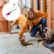 4 Pcs Silver Rattan Cat Toy Kitten Chew Sticks for Cats Toys Indoor