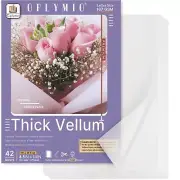 Thick Translucent Vellum Paper, 42 Sheets 167GSM Printable Tracing Vellum Pap...