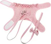 Nylon Dog Leash Small Dog Kitten Rope Leash Training Harness Set Comfortable Mesh Harness for Walking Running and Training