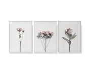 Floral 3 sets White Frame Poster