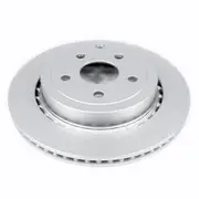 ACDelco Rear Brake Rotor ACDR2029 to suit Holden Commodore - 19283301