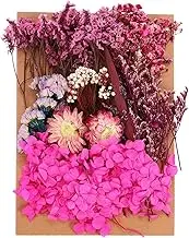 uxcell Pressed Flowers for Craft, Bulk Dried Flowers Natural Pressed Flowers Leaves for Resin Soap Candle Scrapbooking DIY Gift Papermaking, Rose Red