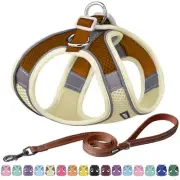 No Pull Dog Harness and Leash Set, Step in Adjustable Dog Harness with Padded...
