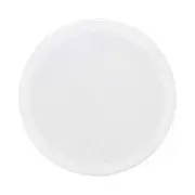 Earthquake 8Inch Edgeless Ceiling Speaker