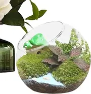 Plant Flowerpot Vase - Glass Flowerpot Terrarium Jar | Air Plant Terrarium Jar | Hydroponic Planter Vase | Glass Slanted Mouth Plant Container Vase | Air Plant Holders Tank for Landscape Indoor Garden