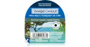Yankee Candle Bayside Cedar 22g