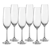 Bohemia Crystal Elements Champagne Flute Wine Glass 190mL Set of 6 Pieces