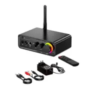 HiFi Digital Stereo Mini Amplifier TPA3116D2 Bluetooth5.3 IR Headphone 100W+100W