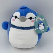Squishmallow Babs Blue Jay 7.5” NWT