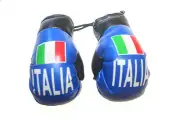 ITALIA ITALY BLUE With Country FLAG Mini BOXING GLOVES .. NEW