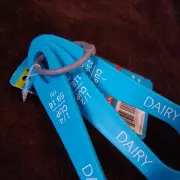 Set of 3 Measuring Scoops - Dairy