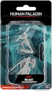 WizKids WK73830 D and D Nolzurs Marvelous Female Human Paladin Unpainted Miniatures