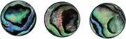 Vaguelly 3PCS Abalone Shell Inlay Finger Buttons for Trumpet Unique Replacement Keys for Instrument Accessories Beautiful Patterns Easy to Install Enhance Your Trumpet Aesthetics