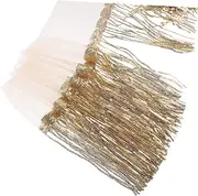 IWOWHERO Sequined Fringed Lace Sequin Tassel Skirt Sequins Dance Fringe Skirt Lace Skirt Glitter Ruffle Dancing Tulle Hip Scarf Belt Scarfs Gold Waist Scarf Polyester Yarn Beige