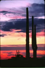 KODACHROME COLOR SLIDE - 1981 ARIZONA SUNSET - ORIG. ONE OF A KIND