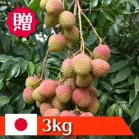 在飛比找樂天市場購物網優惠-2024年空運預購－《日日好菓》玉荷包荔枝 3kg/箱 * 