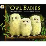 OWL BABIES