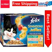 Flavorful Jelly Fish Selection Cat Food - Stimulating Appetite, 60 Pack