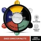 Insight Cosmetics Pro Concealer Palette