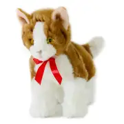 Ginger (Kitten Tabby - 22cm floppy)