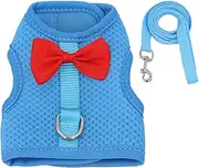 Rabbit Belt and Lead Set - Escape Proof Mesh Vest - Strap for Rabbits, Small Animals and Kittens - Lightweight and Adjustable, Escape Proof Animal Wiring Harness for Rabbits