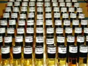 1/3 Roll-On Body Oil Luxury Pure Scented Unisex Designer Inspired, Perfume Oils