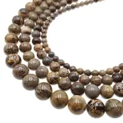 Coffee Bean Jasper Smooth Round Beads 4mm 6mm 8mm 10mm 12mm 15.5" Strand