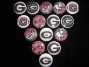 University of Georgia buttons flat back or pin badge cabochons embellish magnets