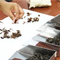 在飛比找蝦皮購物優惠-[新竹]東方美人茶分級體驗-峨眉茶莊