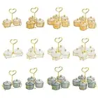 Fruit Snacks Serving Platter and Handle Serving Bowls Condiment Tray Dried Fruit