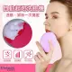 【伊麗緹克 ELITECH】自動起泡洗臉機 潔膚儀 潔面儀(硅膠刷毛/5段震動按摩/15秒起泡)