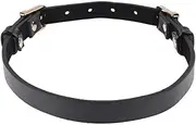 Sex & Mischief Double Buckle Day Collar-(ss09854)