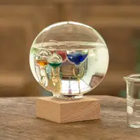在飛比找蝦皮購物優惠-現貨 日本 Fun Science 加利略溫度計 玻璃浮球溫