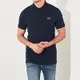 海鷗 Hollister HCO 經典電繡海鷗短袖Polo衫-深藍色