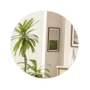 Round Bathroom Mirror 24 Inch,Circle Wall Mirrors with Tempered 24 inch White
