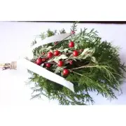 MISTLETOE & WHITE CEDAR Fragrance Oil for making Candles, Soaps, Wax Melts etc.