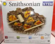 Smithsonian STEM Amber Dig, Learn Paleontology,
