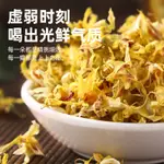 新品熱銷 養生茶 養肝茶 祛濕茶 正品霍山鐵皮石斛花干花茶石斛茶楓斗鮮條養生花茶新鮮石斛花泡茶