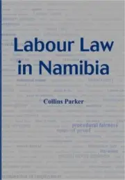 Labour Law in Namibia (Paperback or Softback)
