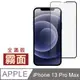 iPhone 13 Pro Max 滿版 霧面 磨砂 保護貼 手機 9H 鋼化膜 ( iPhone13ProMax保護貼 )