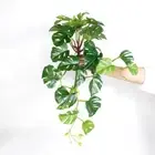 For Home Garden Decor Simulation Plants Turtle Leaves Green Plant Fake Plant