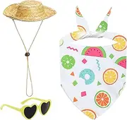 Yard Geese Outfits - Geese Statue Costume | Beach Holiday Style Cement Figure Sunglasses Straw Hat Clothes For Courtyard Indoor Window