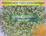 Fenugreek seeds Organic Certified ( Sprouts , Sprouting seeds )