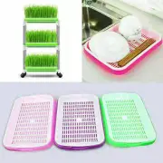 Sprouter Tray Wheatgrass Grower Culture Bean Plant Germination Sprouting Kit