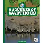 A SOUNDER OF WARTHOGS