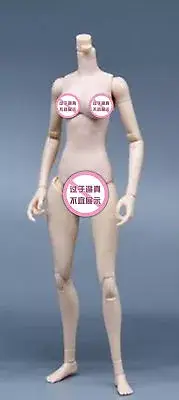 Female Action Figure Model 1/6 scale Flexible Pale Body Figure For 12in Doll