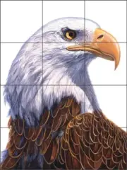 Bald Eagle Tile Mural Jack White Wildlife Bird Art Ceramic Backsplash JWA001